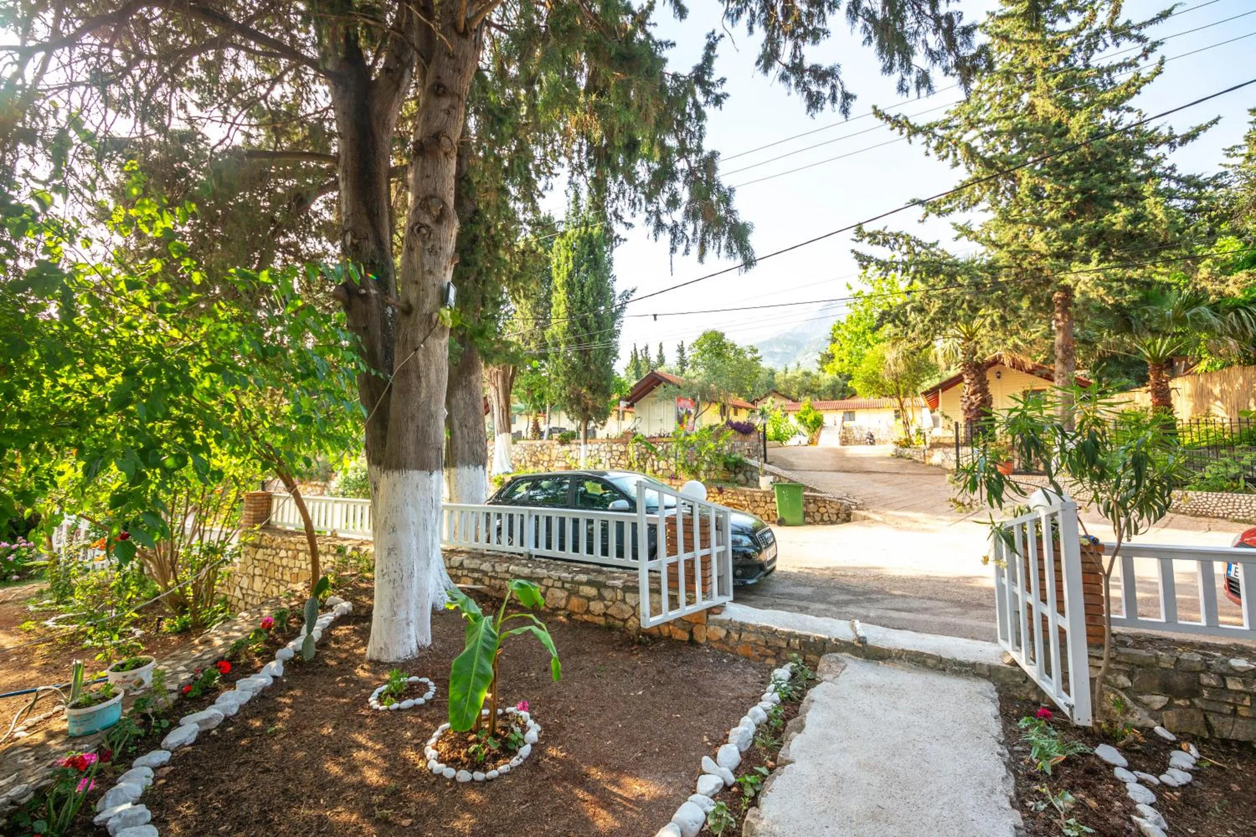 A planted front garden with white-limed trunks and a white wooden gate opening onto the lane, cars parked outside