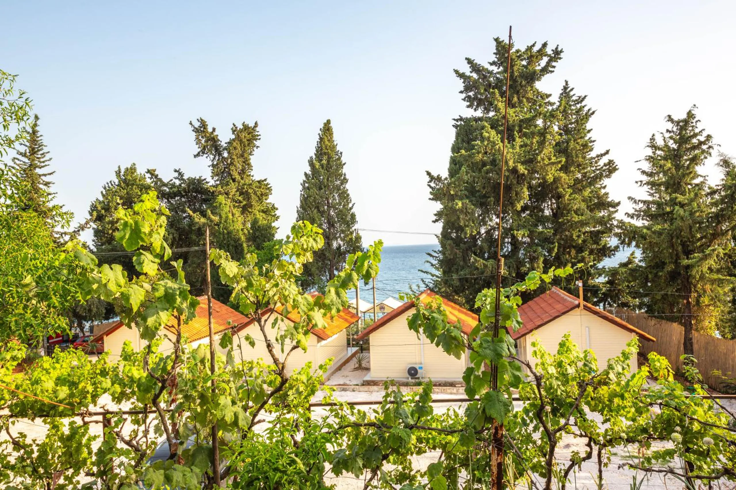 Vine leaves in the foreground and the terracotta roofs of the bungalows below, cypress and pine trees and a strip of sea behind