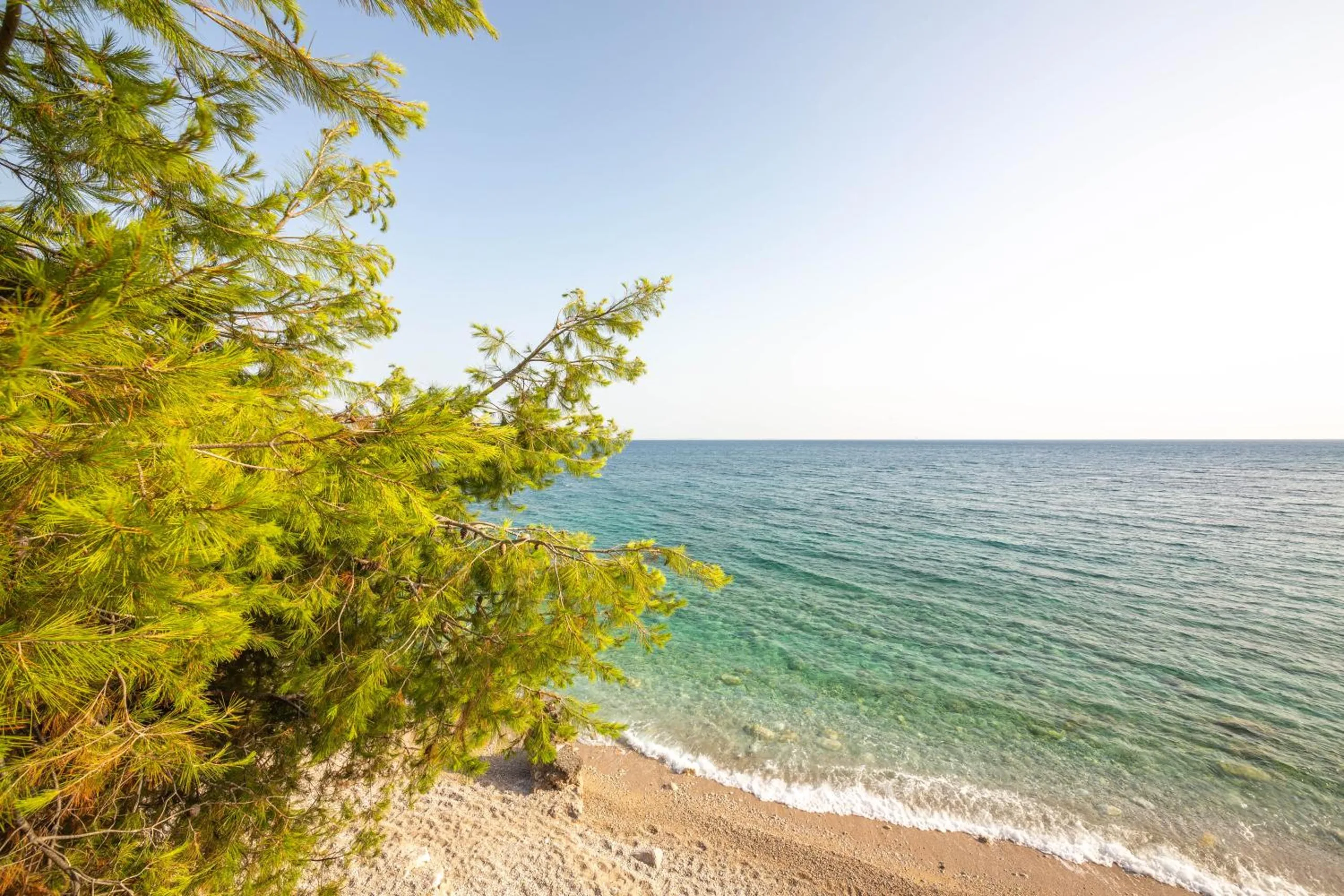 A pine branch hanging over pale shingle and clear turquoise water at the north end of Dhërmi beach