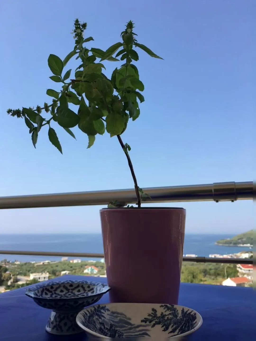 A potted basil plant and a blue patterned bowl on a blue table at a balcony rail, with the bay behind