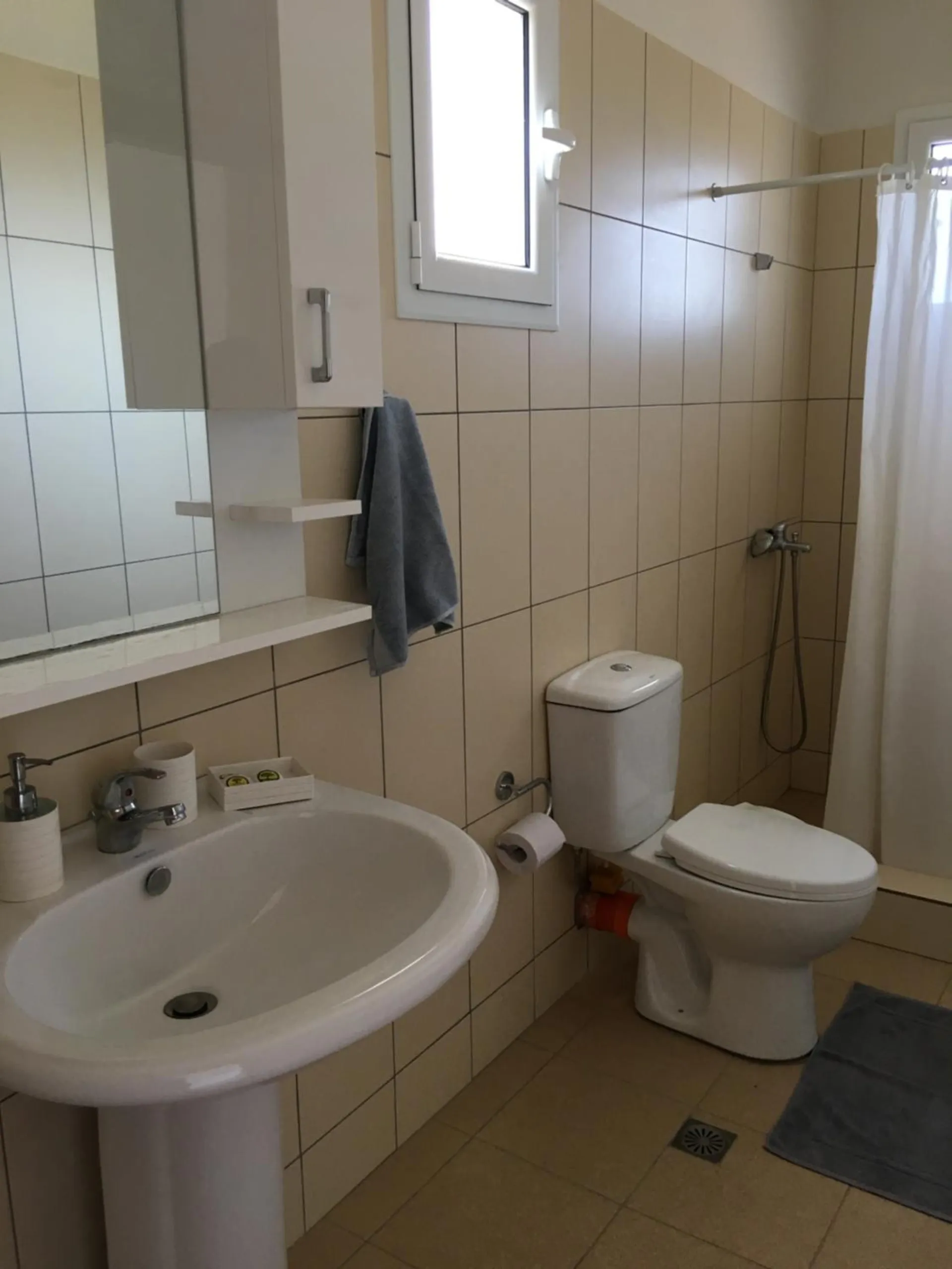 A tiled shower room with a pedestal basin, mirror cabinet, toilet and a curtained shower