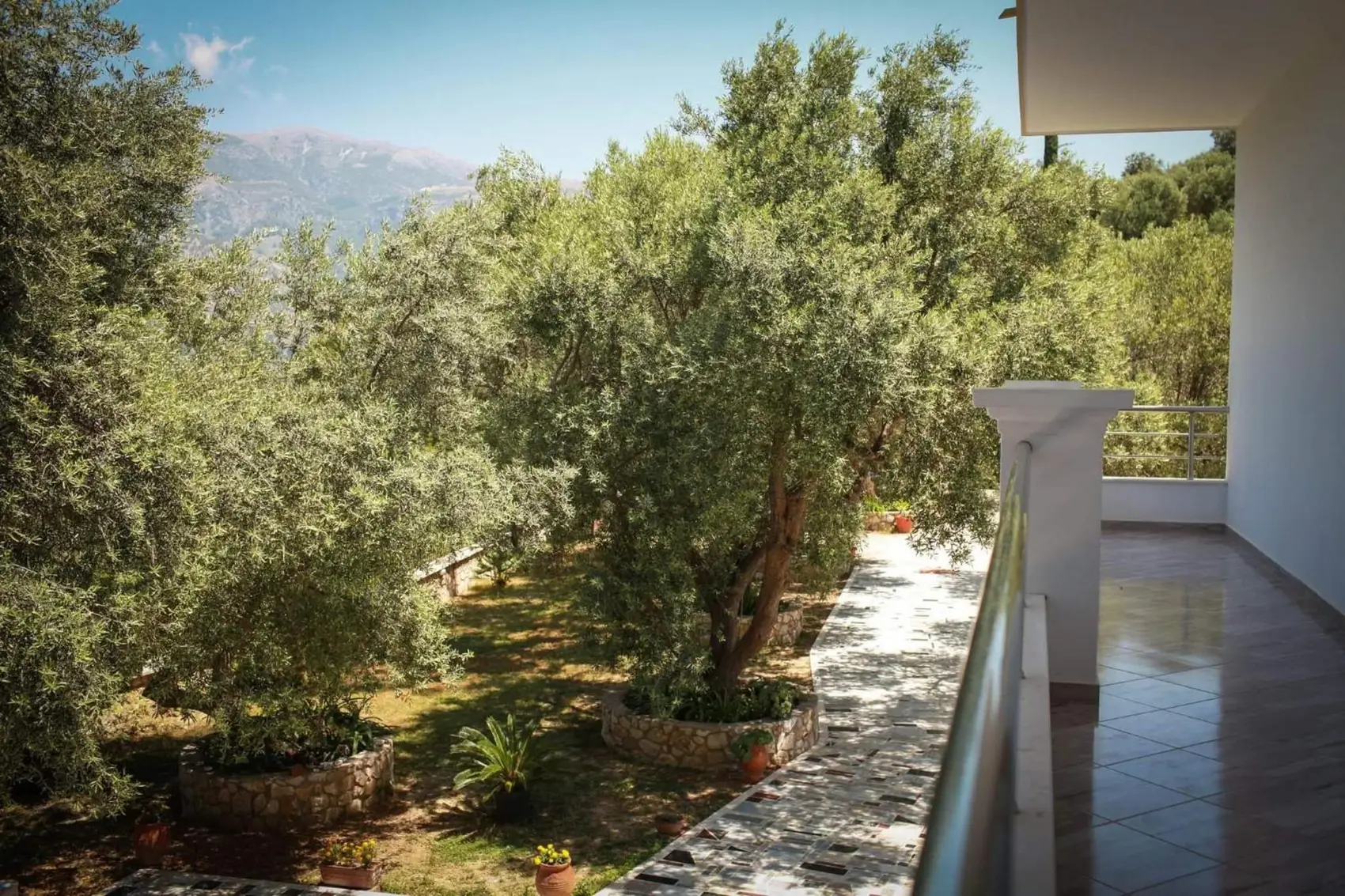 Old olive trees and a stone path below a balcony, the mountains behind