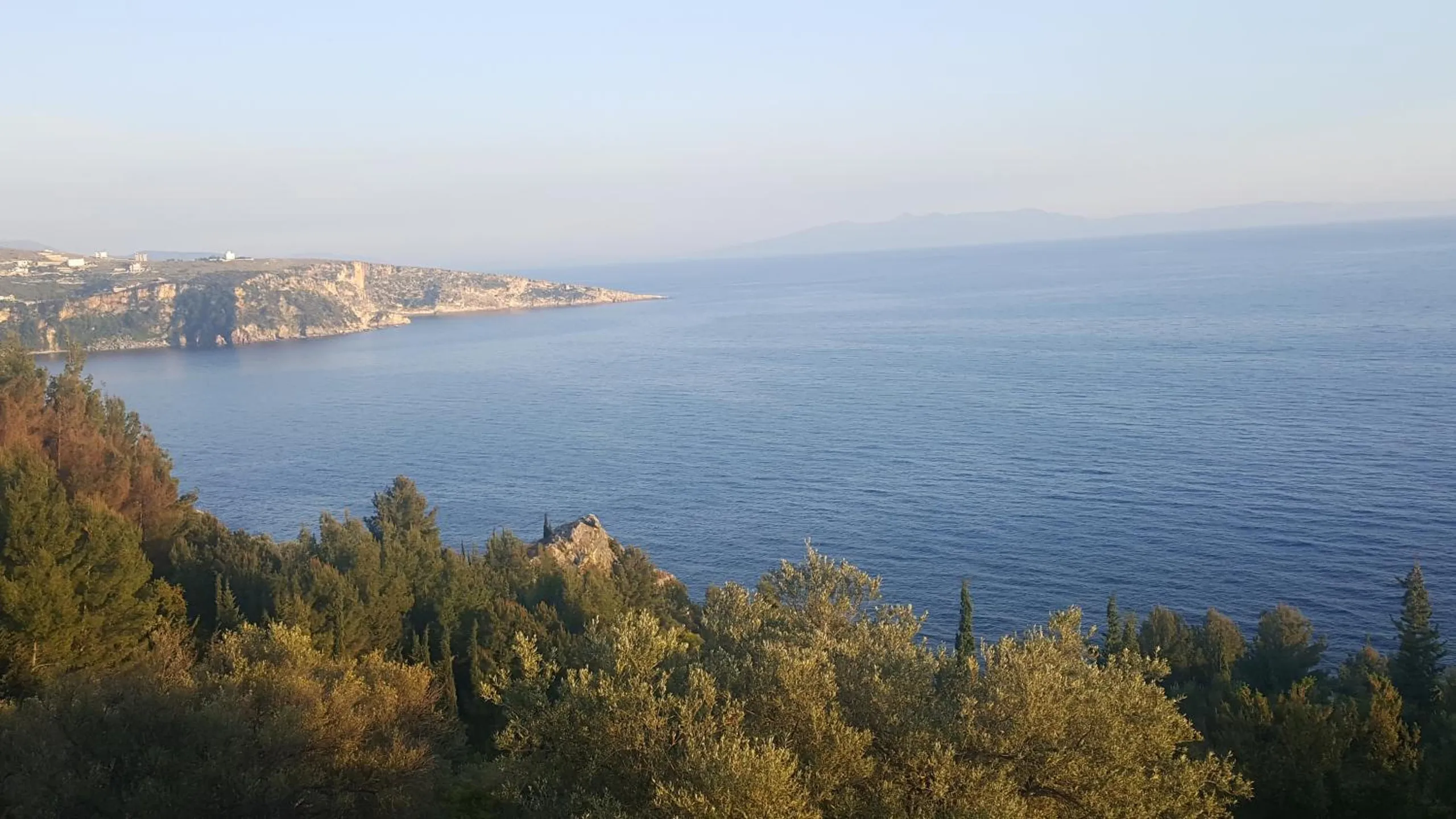 The coast seen from above through olive trees: a calm blue bay, white buildings along a clifftop, and mountains on the far horizon