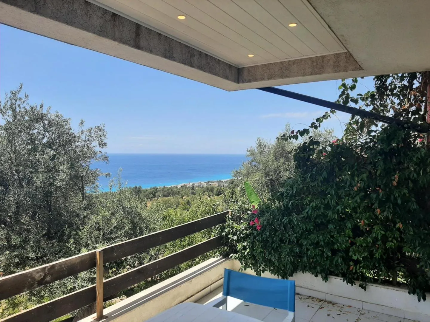 A covered terrace with blue chairs, the coast and the sea beyond the olive trees