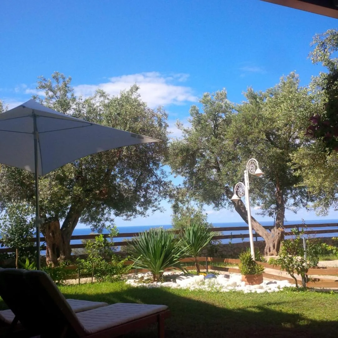 A villa garden with an umbrella and old olive trees, the sea behind a timber fence