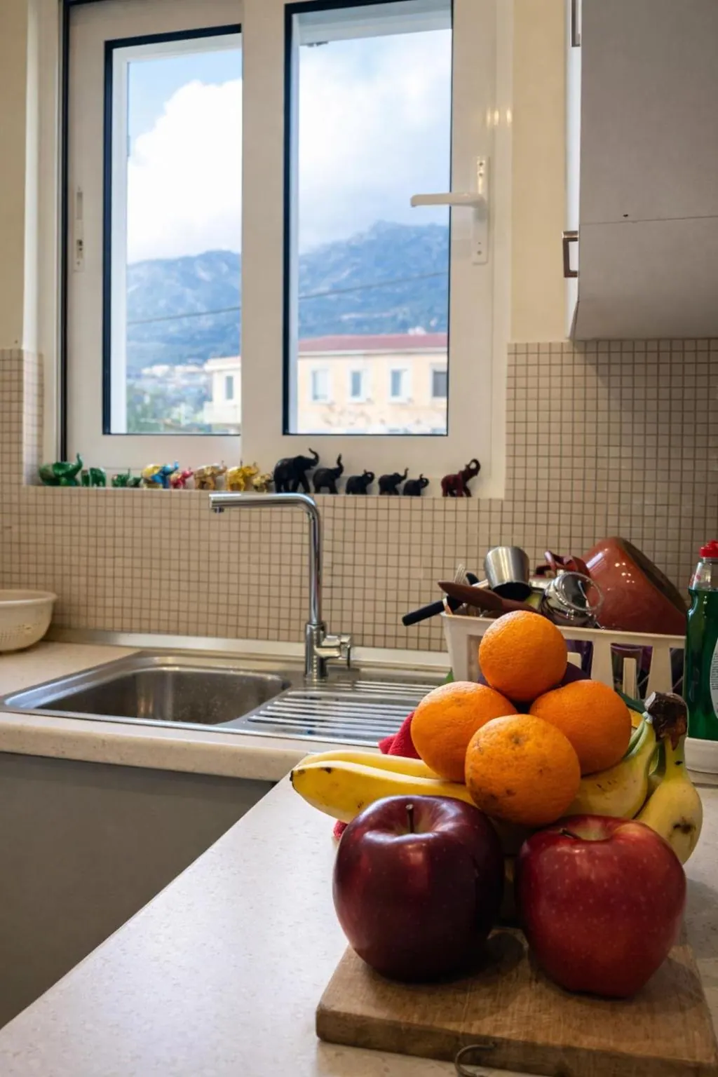 Oranges, apples and bananas piled on a chopping board beside the kitchen sink, a row of small elephant figures on the windowsill and the mountains outside