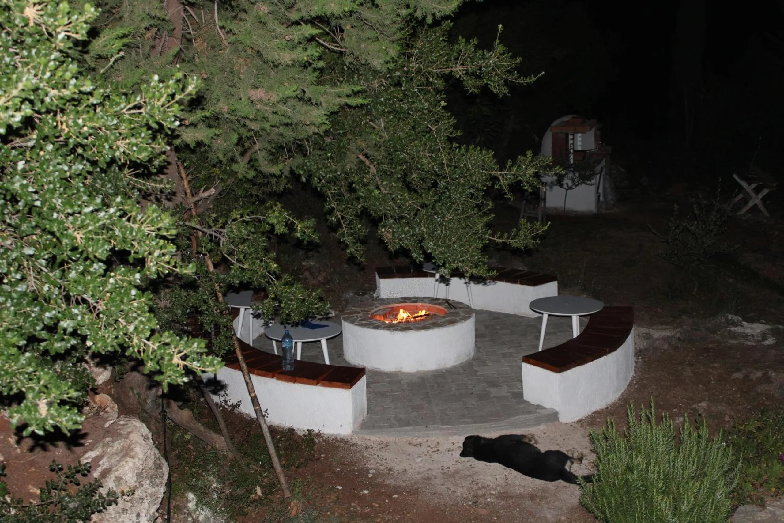 The round whitewashed fire pit lit at night, curved white benches with timber seats around it and a dog asleep on the paving