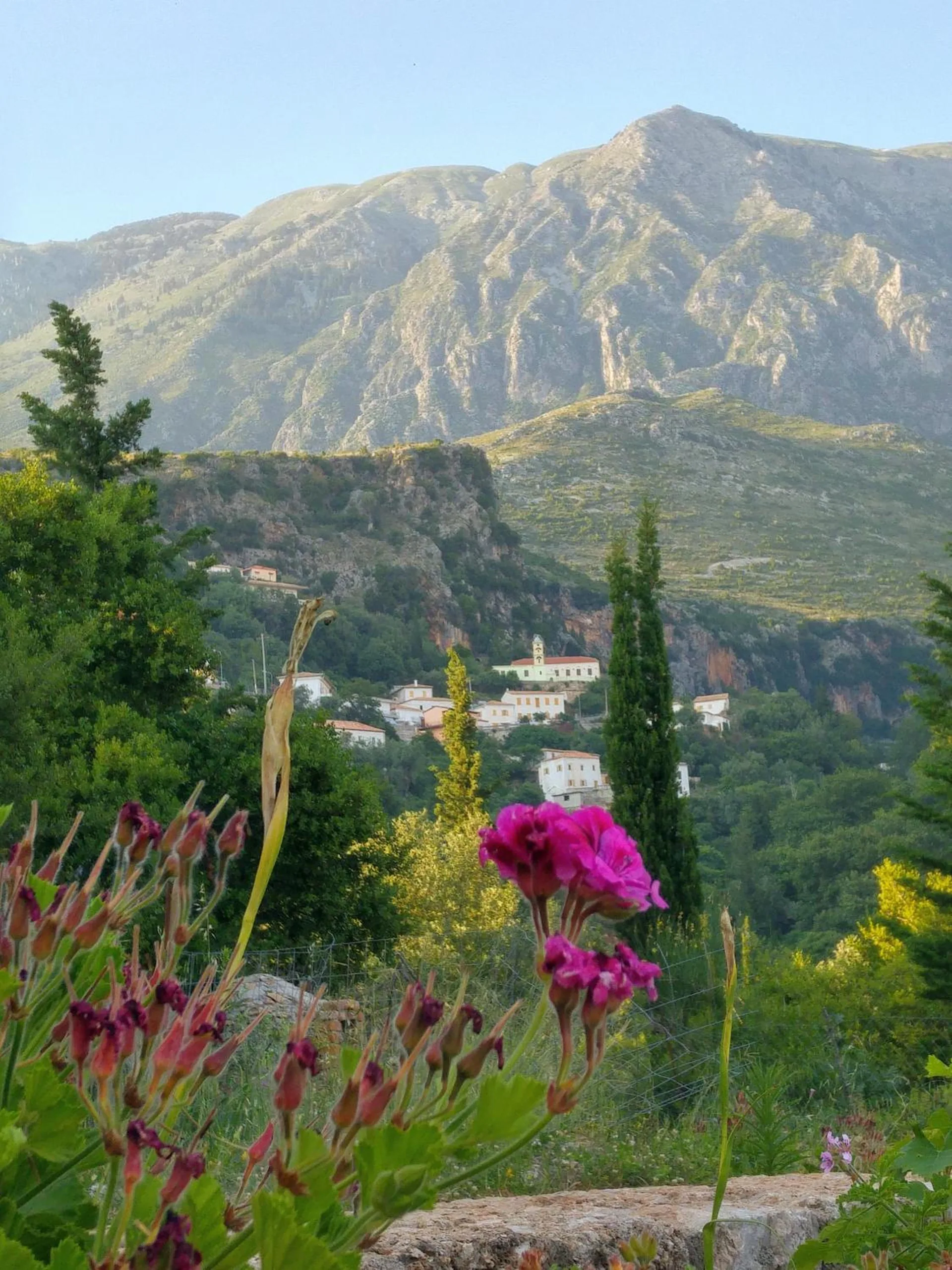 Pink flowers in the foreground, cypresses and the village below, and a high limestone ridge behind