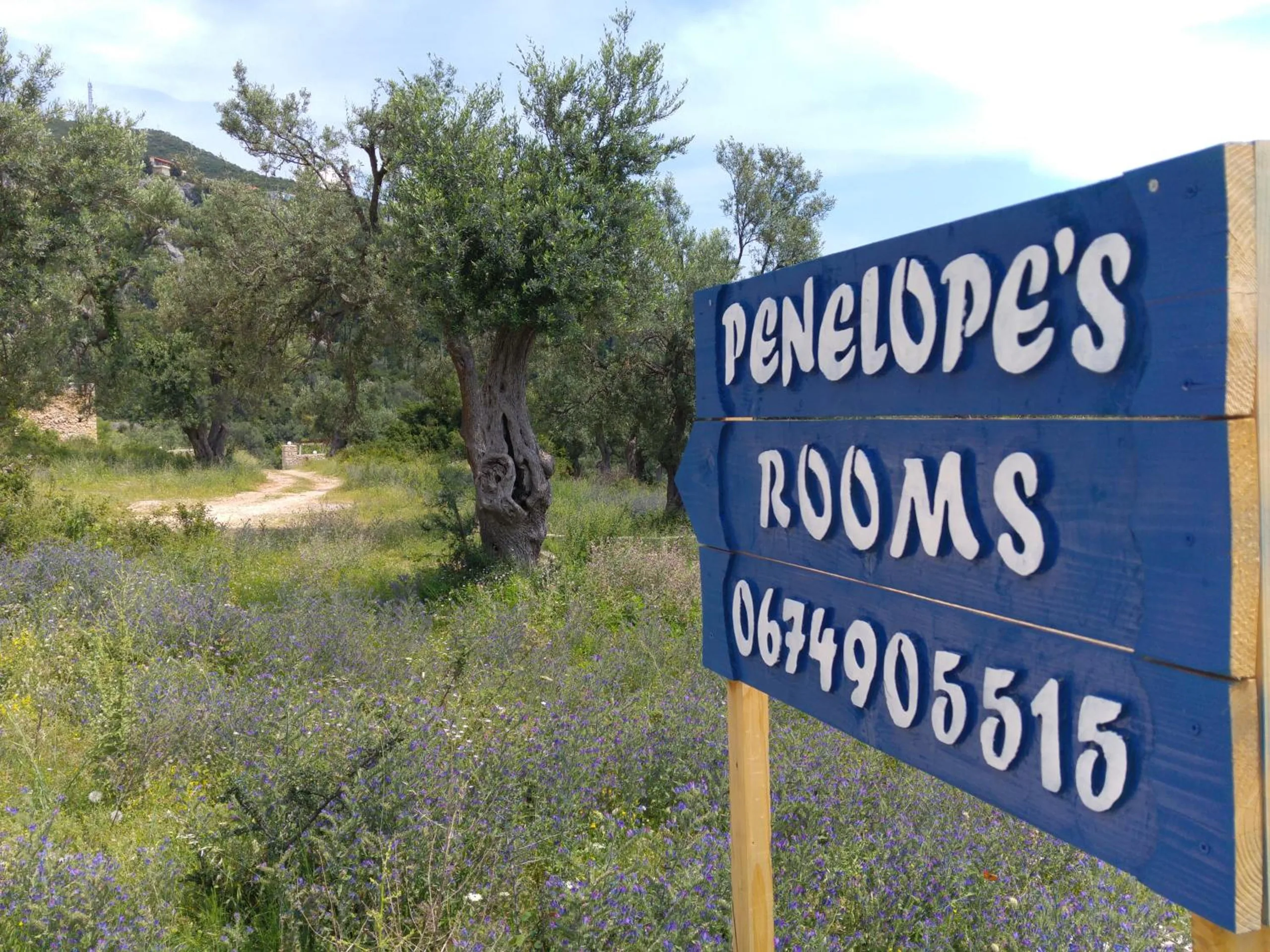 A hand-painted blue plank sign reading Penelope's Rooms and the phone number, on a post in a meadow of wildflowers under old olive trees