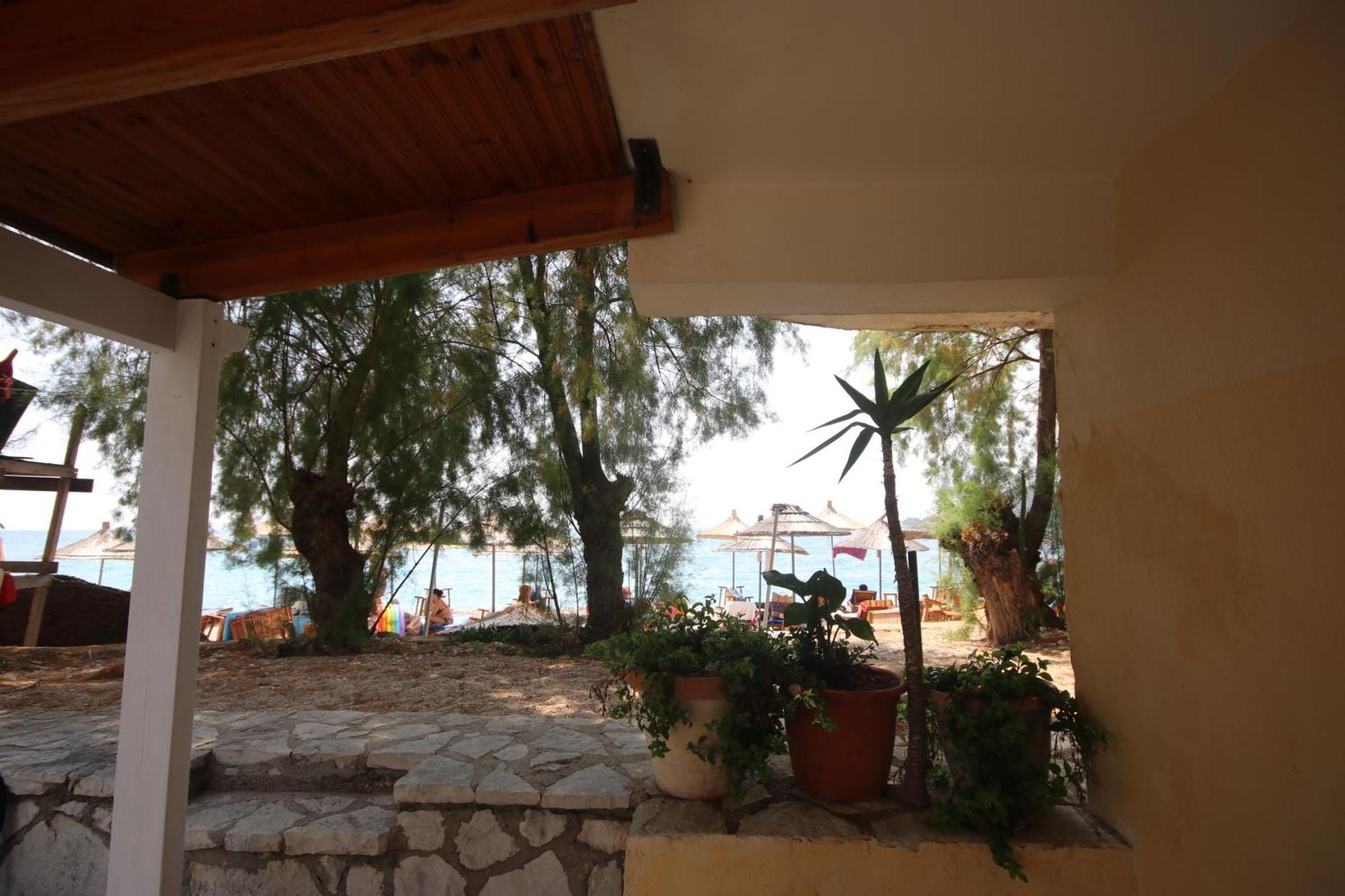 Looking out from a covered ground-floor patio past potted plants and a low stone wall to tamarisk trees and umbrellas on the beach