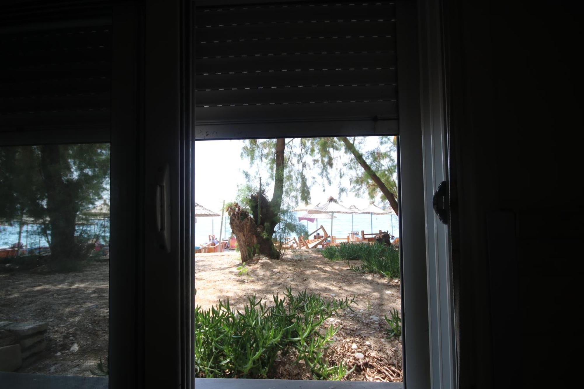 A ground-floor window with its shutter raised, framing tamarisk trunks and umbrellas on the beach