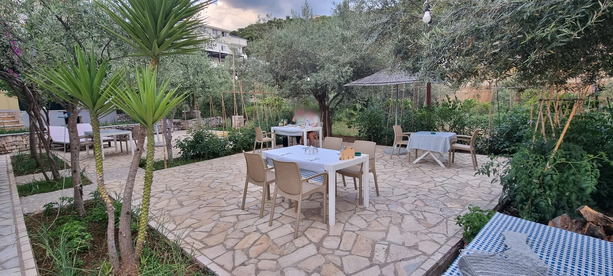 Tables laid with white and blue gingham cloths on a flagstone terrace under olive trees at dusk, tall yuccas on the left, cane-staked vegetable beds and a thatched parasol behind