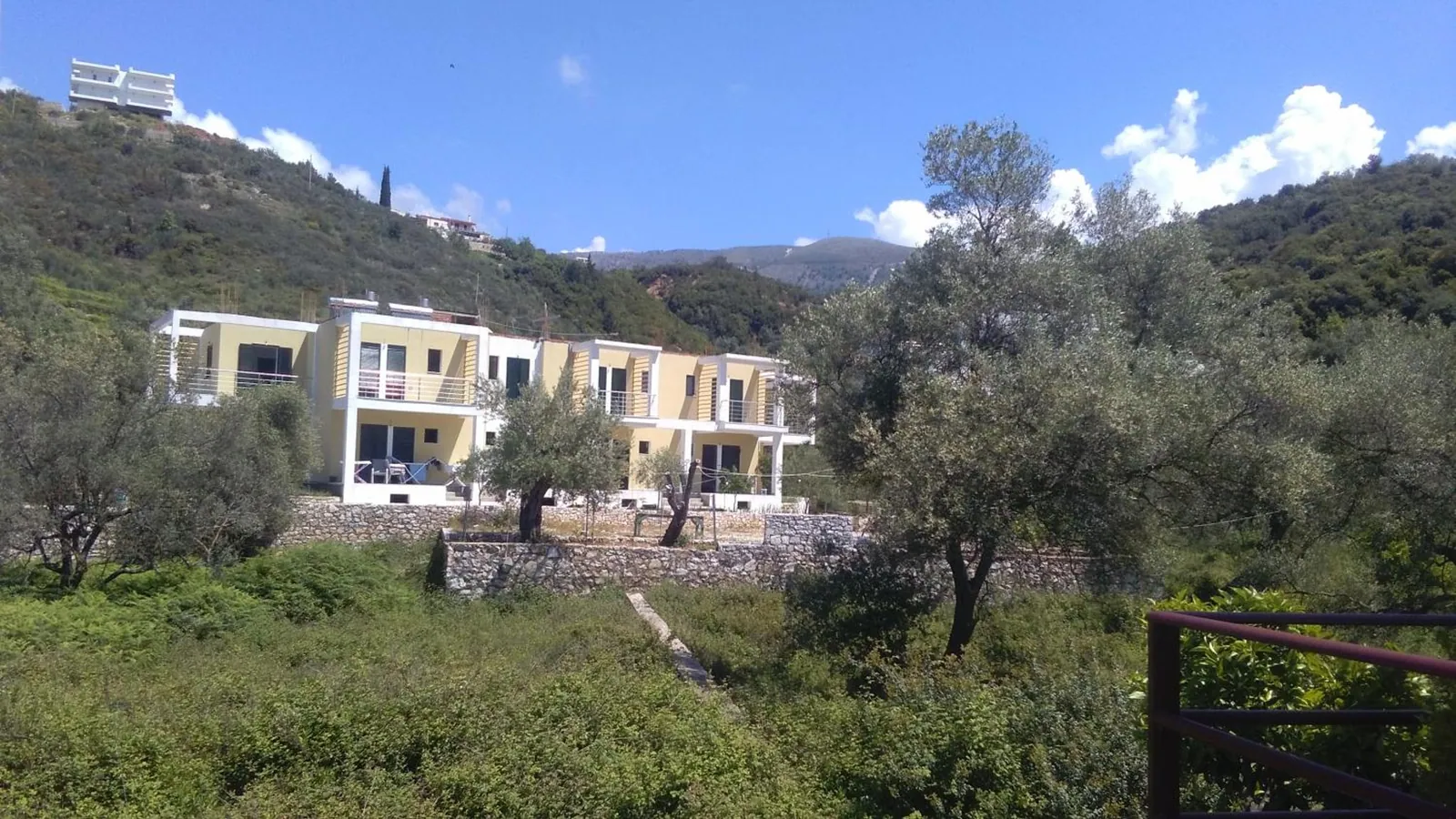 The two pale yellow guesthouse buildings with white balconies seen across an olive grove, wooded hills behind under a blue sky