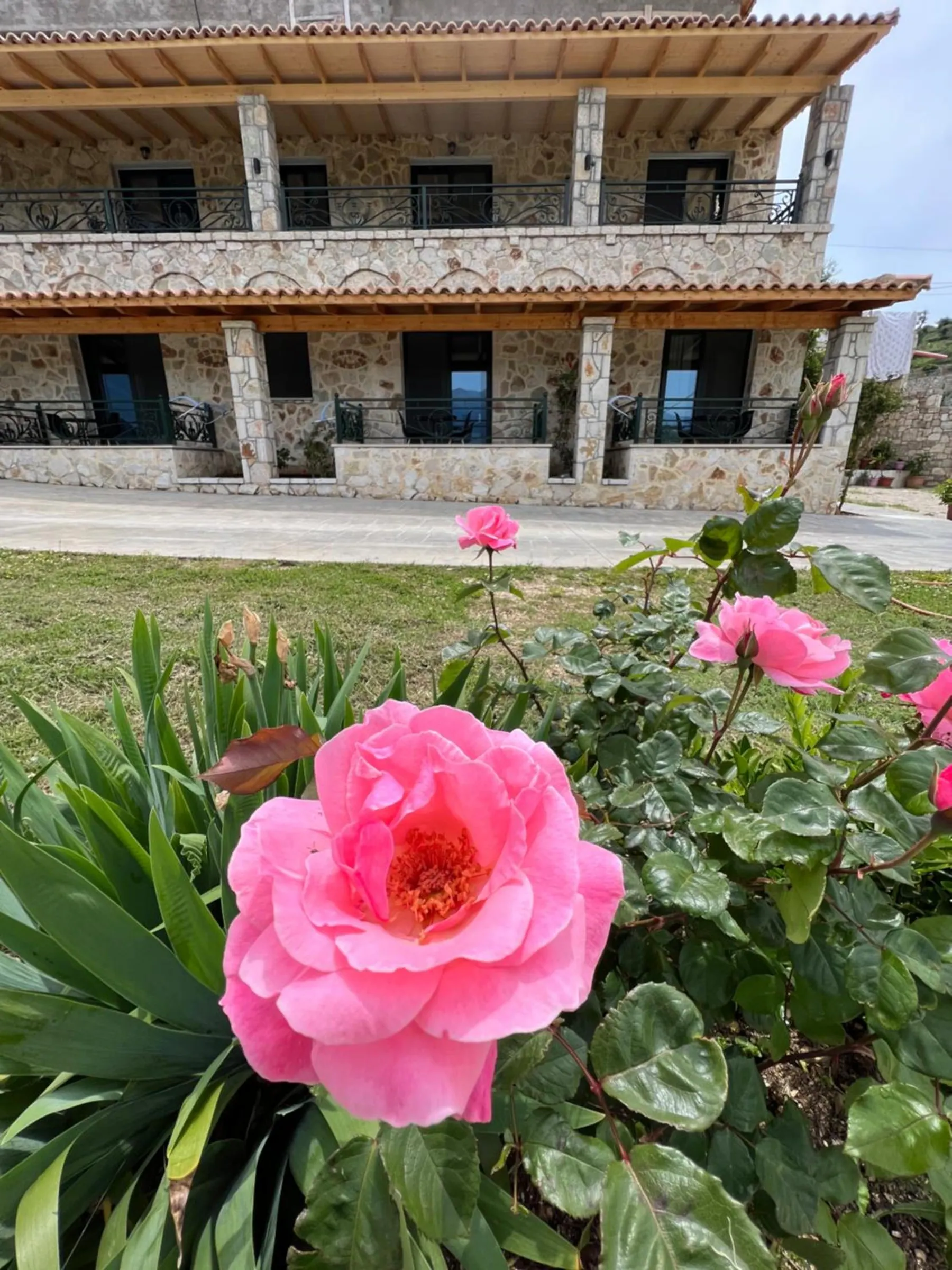 Pink roses in the front garden and, behind them, the two stone floors of the house with their timber roofs and iron balconies