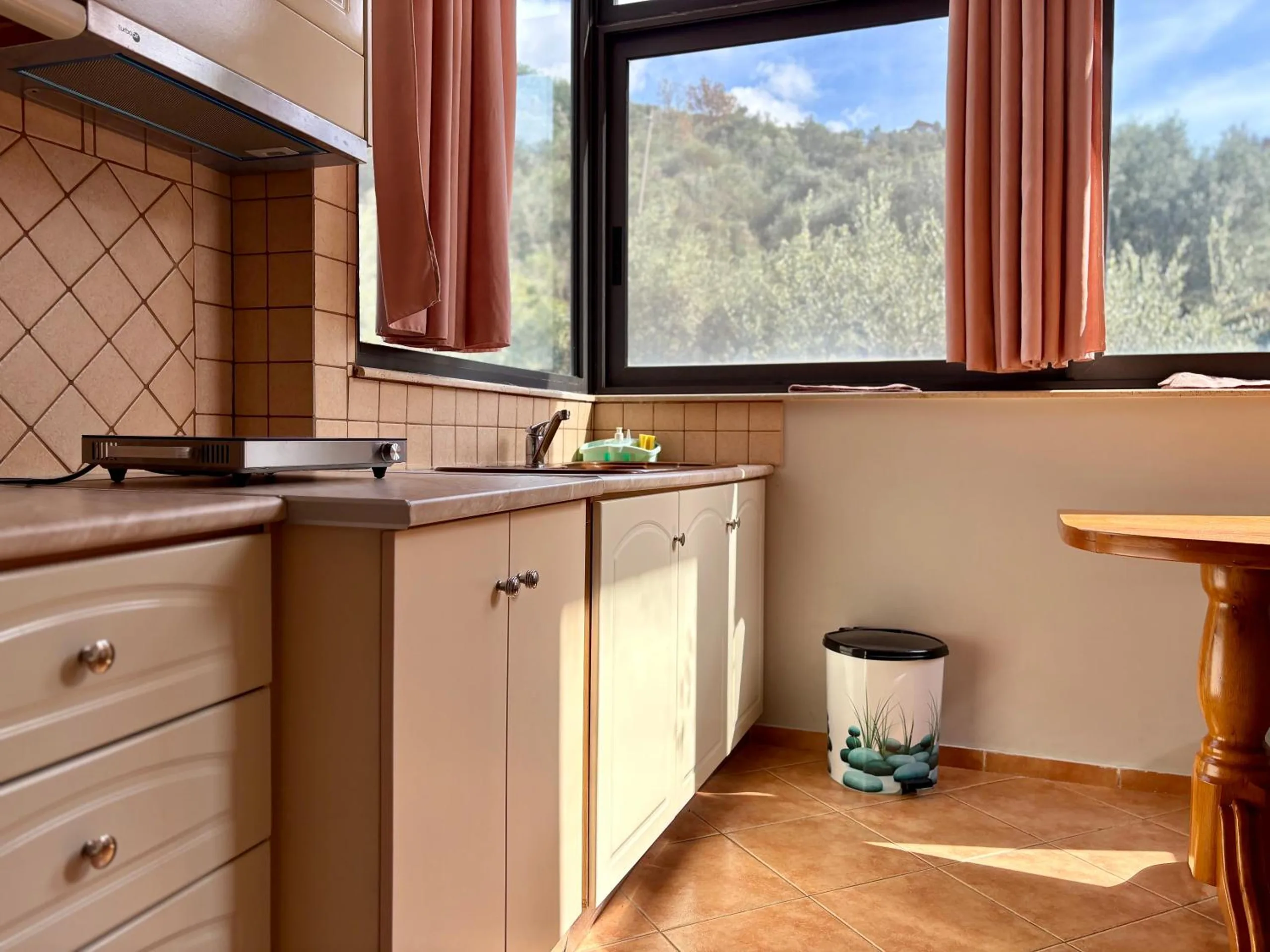 A small kitchen with cream cupboards, a two-ring hob and tiled splashback under a wide window full of olive trees, a wooden table at the right