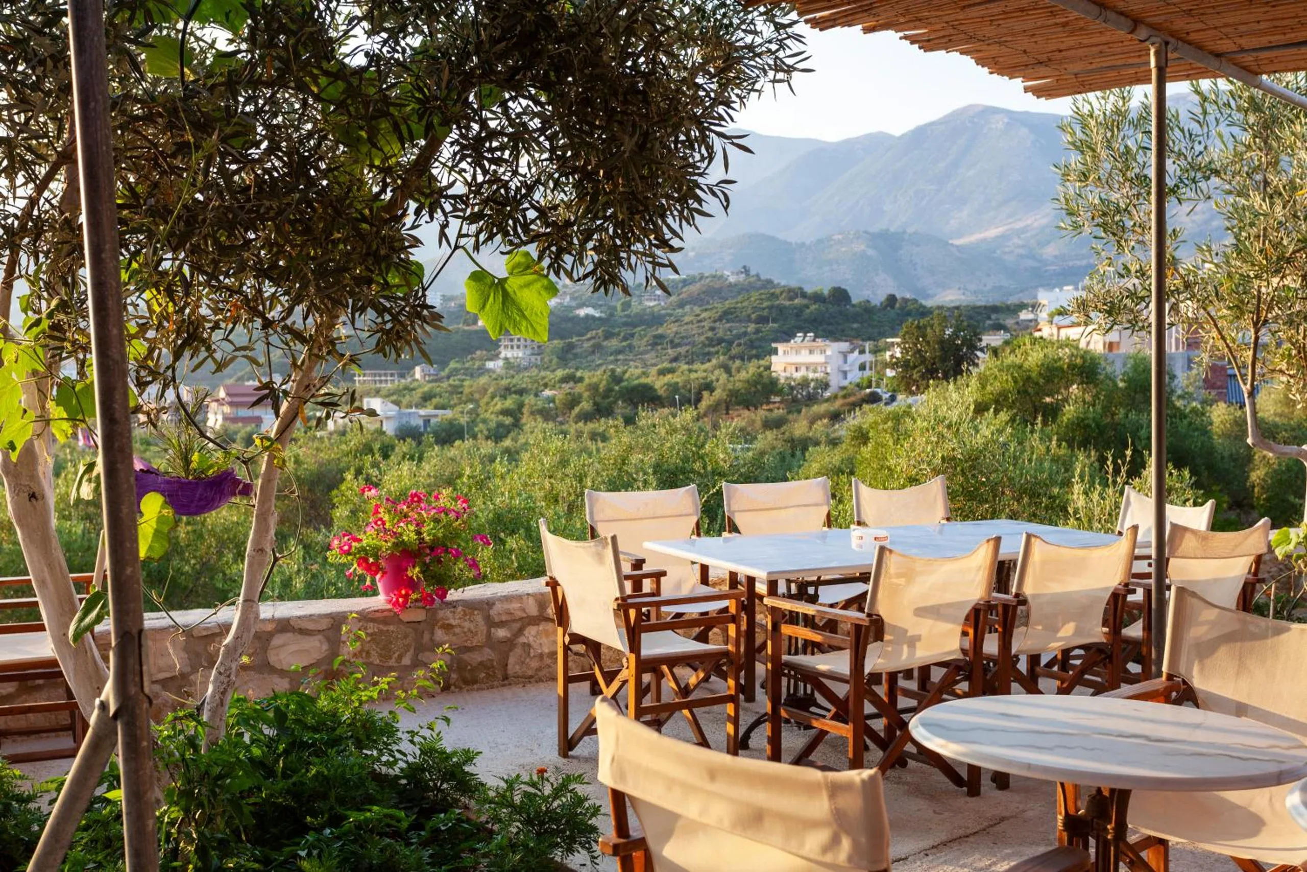 A long table with cream canvas chairs on the terrace, an olive tree and a pot of pink geraniums on the stone wall, the olive groves and the Ceraunian mountains behind