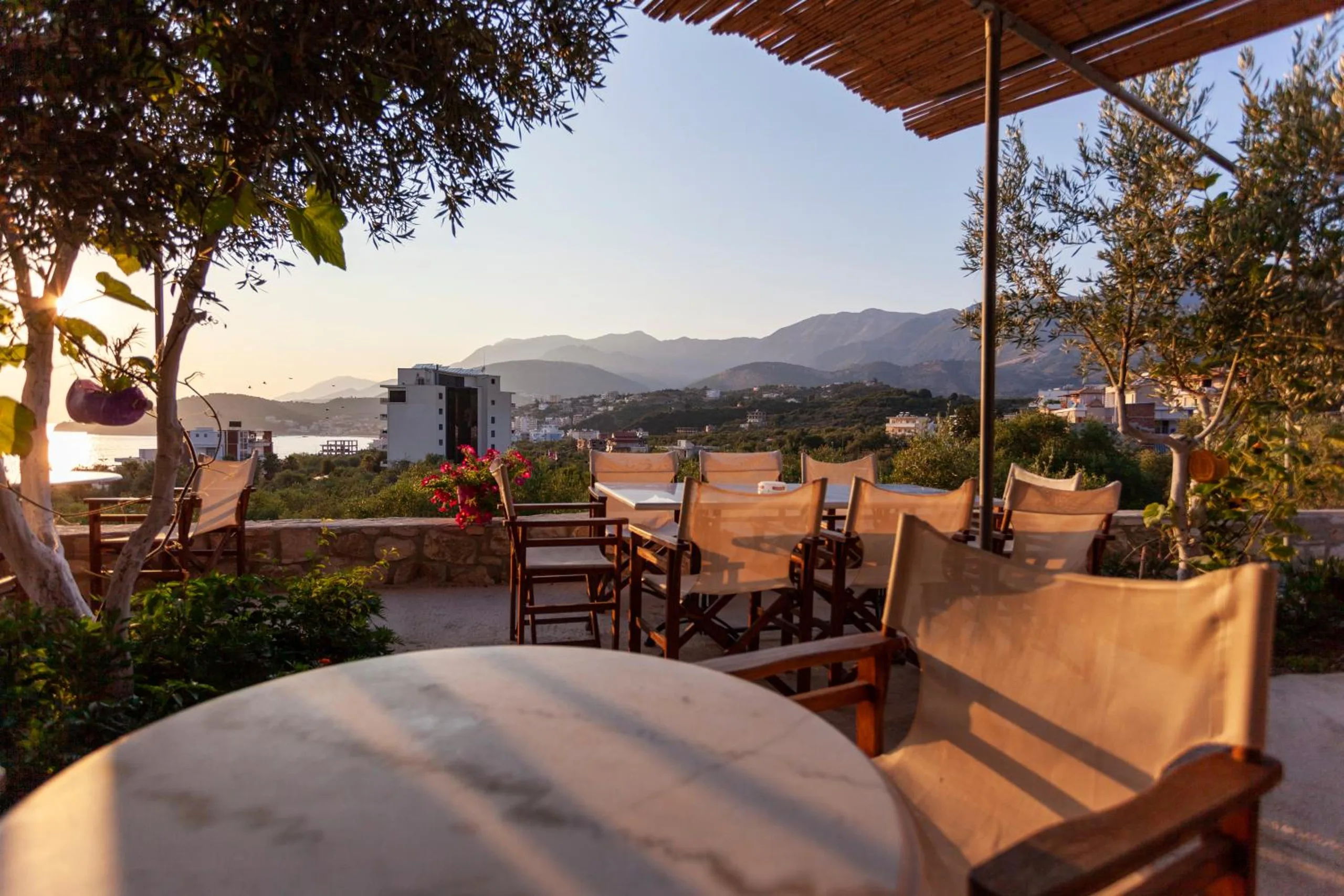 Low evening sun across the terrace tables and an olive tree, with the bay, a headland and the mountains in the distance