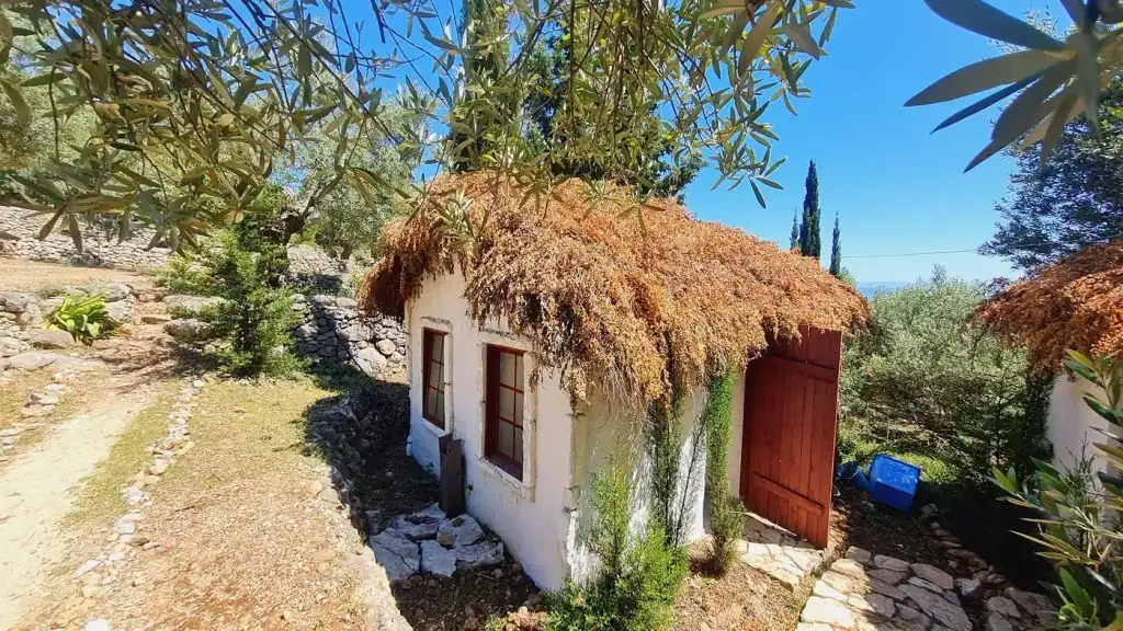 A small whitewashed hut with a brushwood roof and red-brown shutters standing among the olives at Camping Himara