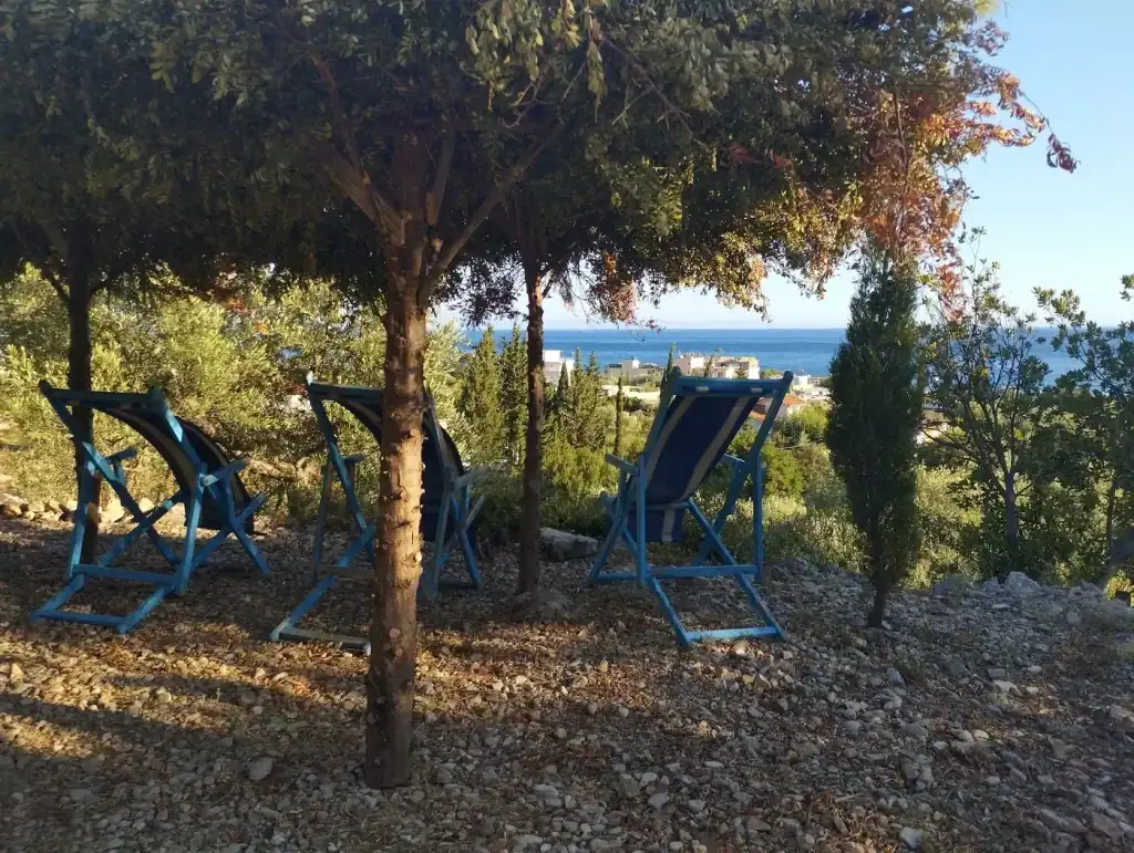 Deck chairs standing in dappled tree shade on the stony edge of the grove, the Ionian visible between the trunks