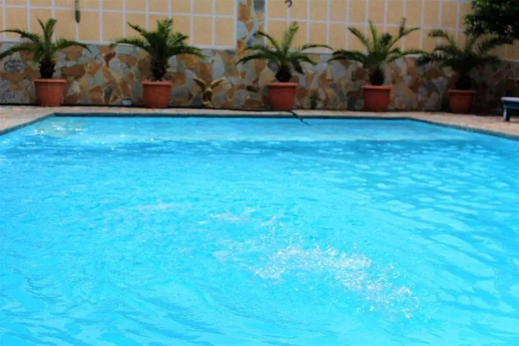 The outdoor swimming pool at Hotel Frida in daylight, with potted sago palms along the stone-clad wall behind it
