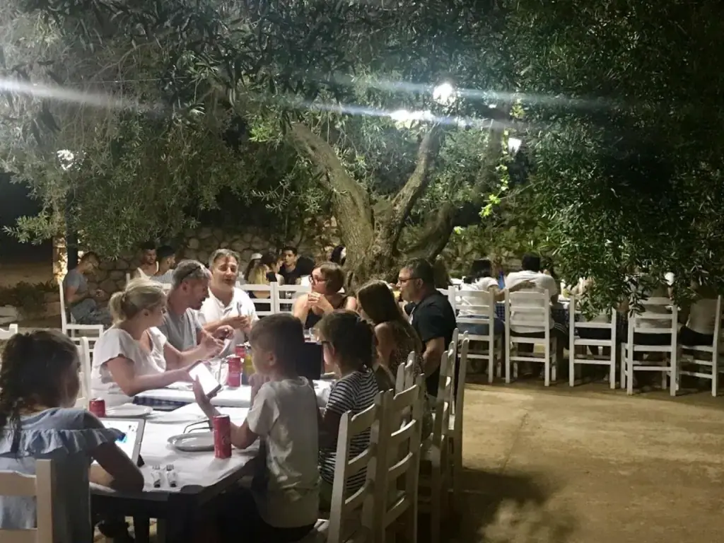 Long tables laid with white cloths under olive branches after dark, guests seated the length of them