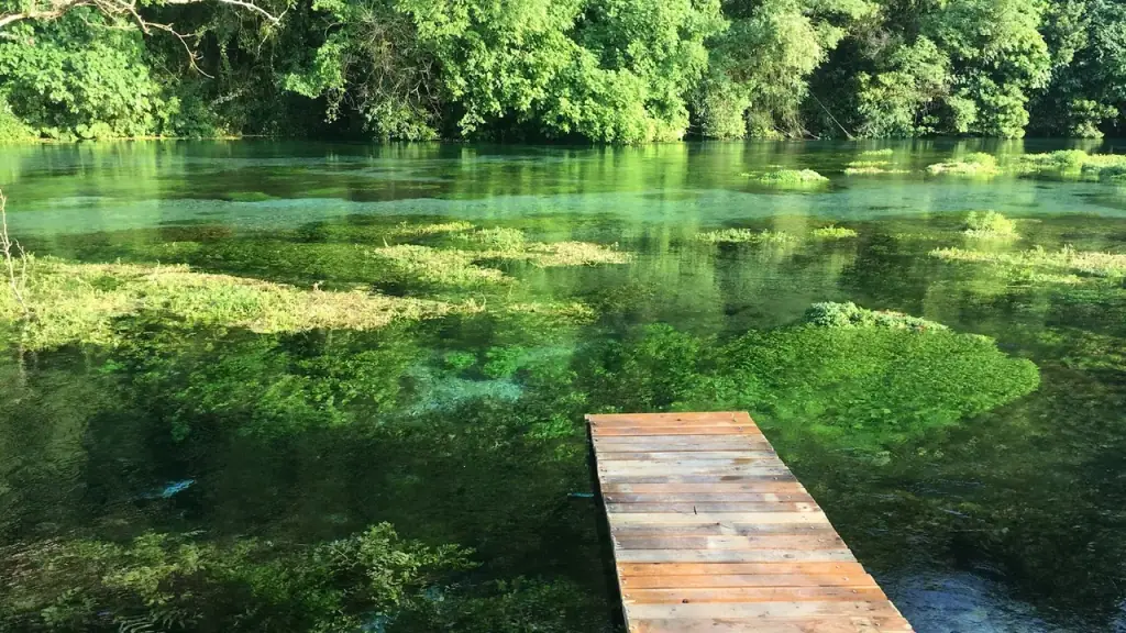 A wooden boardwalk running over the vivid green and blue water of the Blue Eye spring, surrounded by dense trees