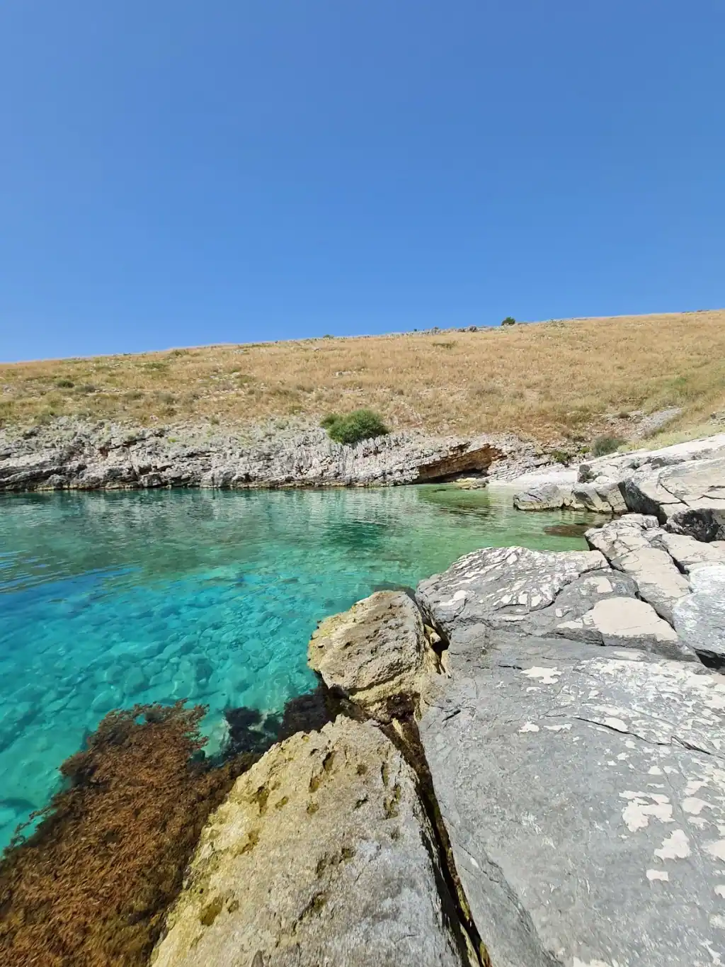 Flat limestone ledges dropping into a small inlet of clear green water at Andreas Beach, with dry grassland on the slope above