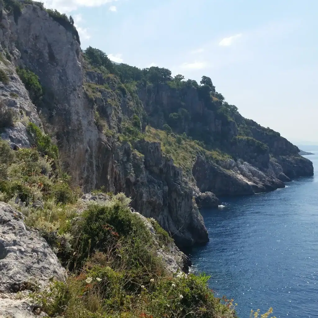 Limestone cliffs above the sea at Saint Andrew's Bay