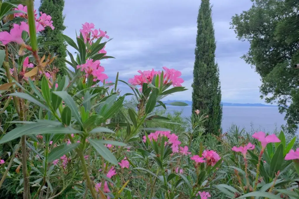 Les Villas de Qeparo — view 3