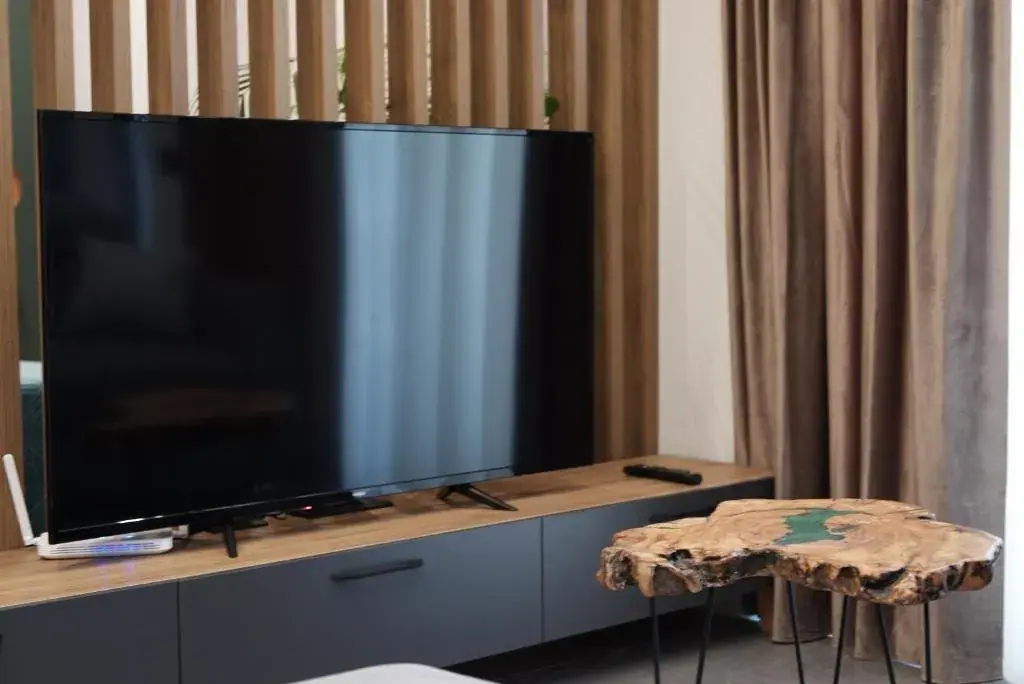 Voyage Apartment — view 5