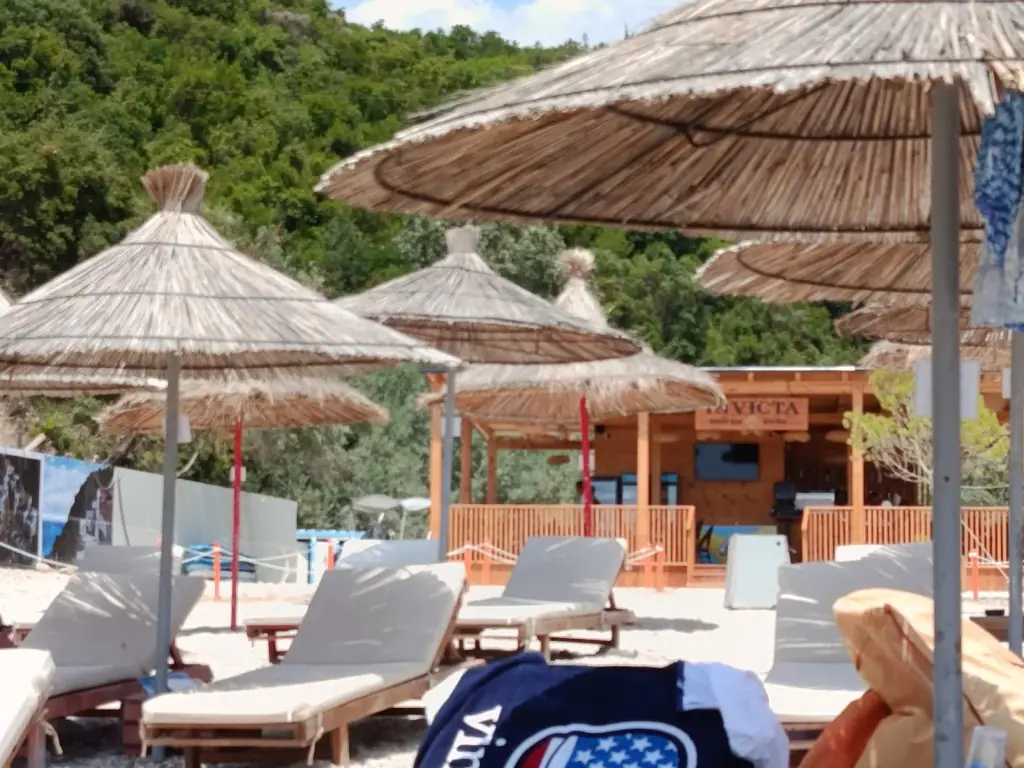 Olive-grove terrace with white seating at Invicta Beach Bar in Himara