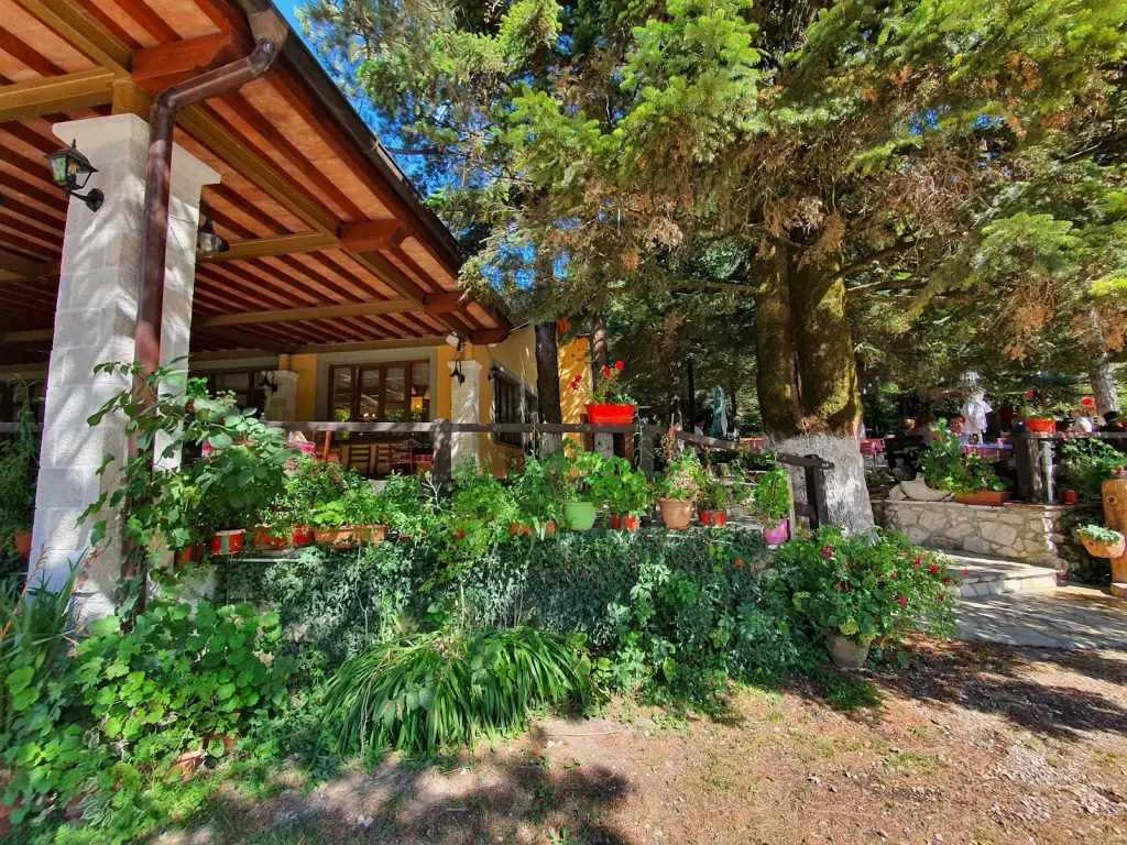 Garden terrace with a yellow building among the pines at Restorant Alberti on the Llogara Pass
