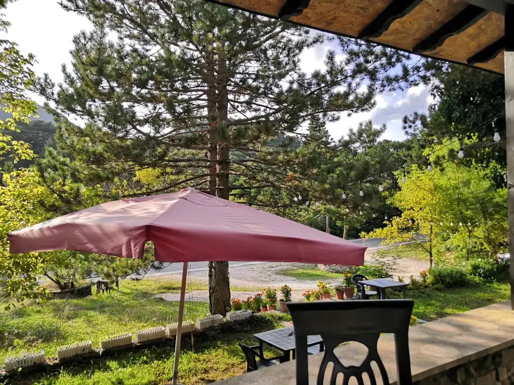 Outdoor terrace with a burgundy umbrella among Llogara pines at Restorant Iliria