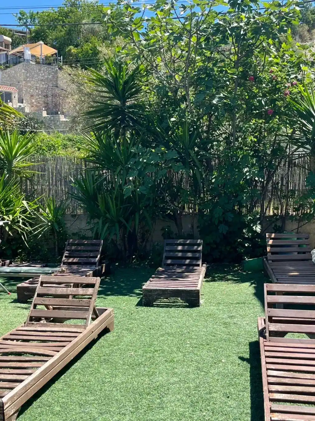 A fig tree, yuccas and a cane fence closing off the garden of sun loungers at Oasis on the Beach