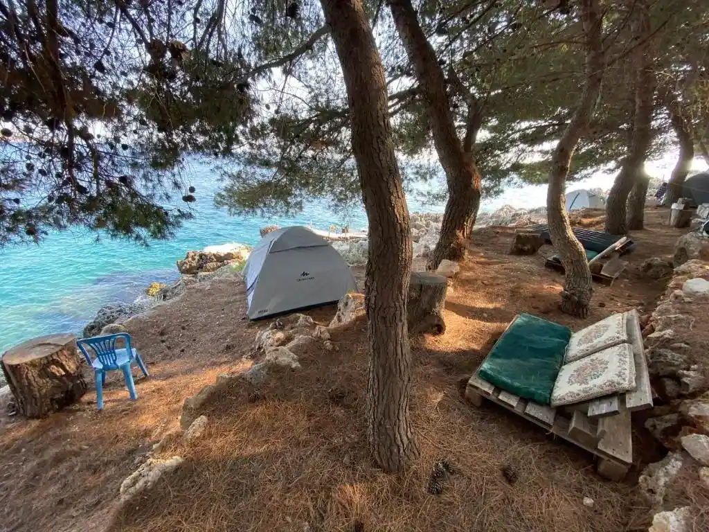Pallet seating with cushions under mature pines on a bed of pine needles at Pine Side Camp