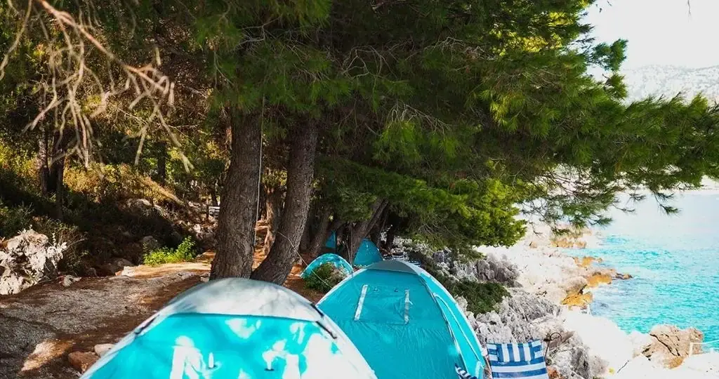Turquoise dome tents pitched under pines beside white limestone rocks and clear sea