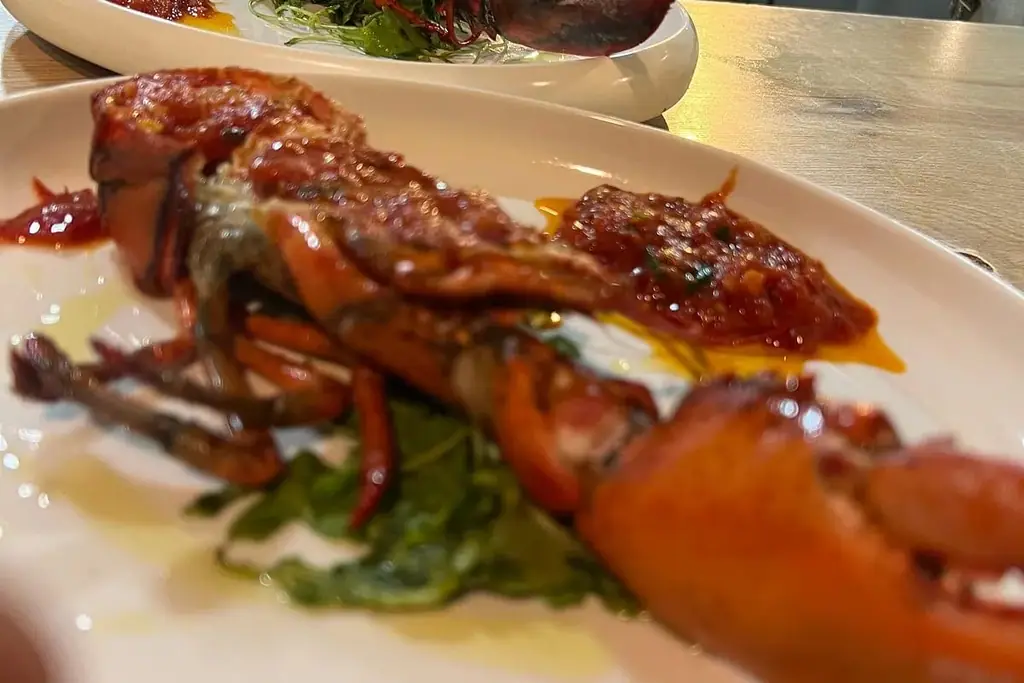 A split lobster on a long white dish, sauced with tomato and set on green leaves, a second dish behind it