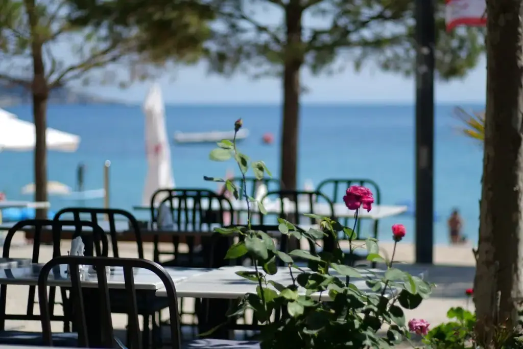 Black bistro chairs and white tables on the terrace under pines, the beach and the water beyond