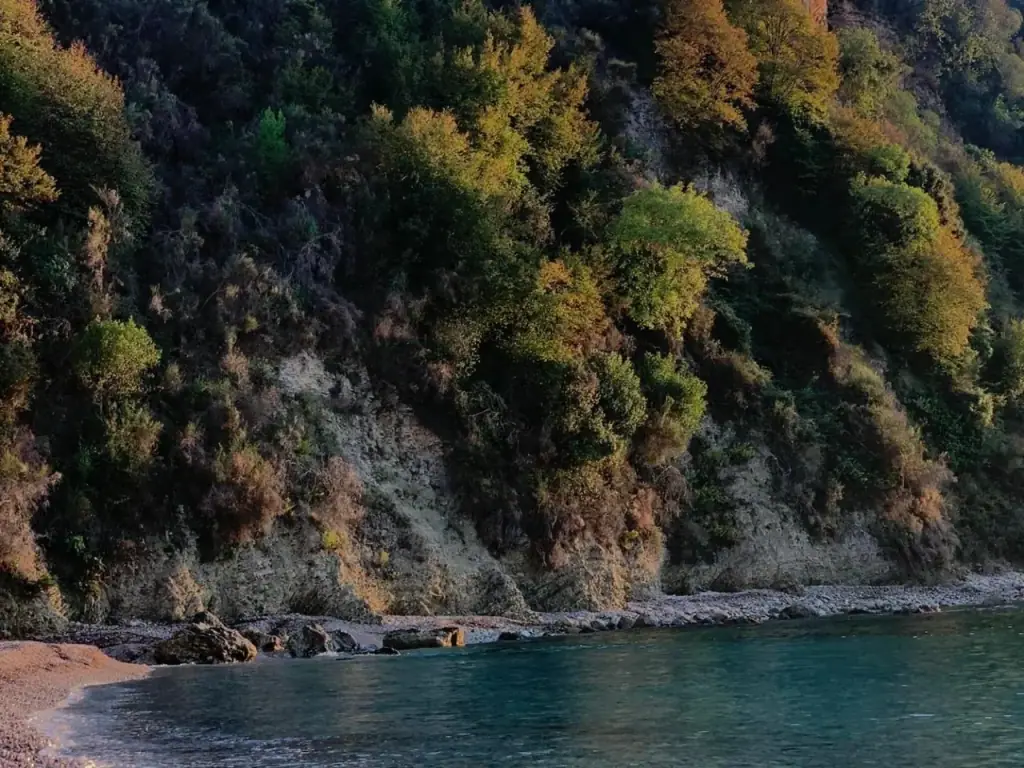 The wooded cliff and pebble shoreline of the cove at Potami