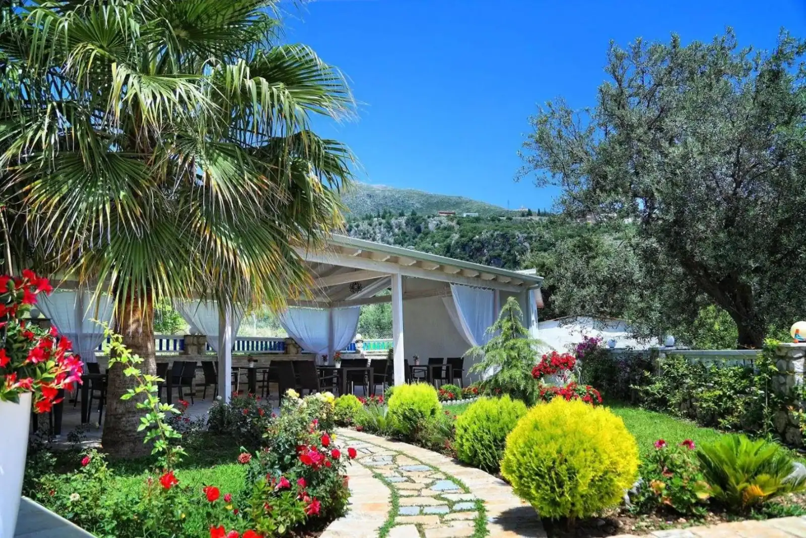 A garden of clipped shrubs, bougainvillea and palms with a white pergola and a paved path through it