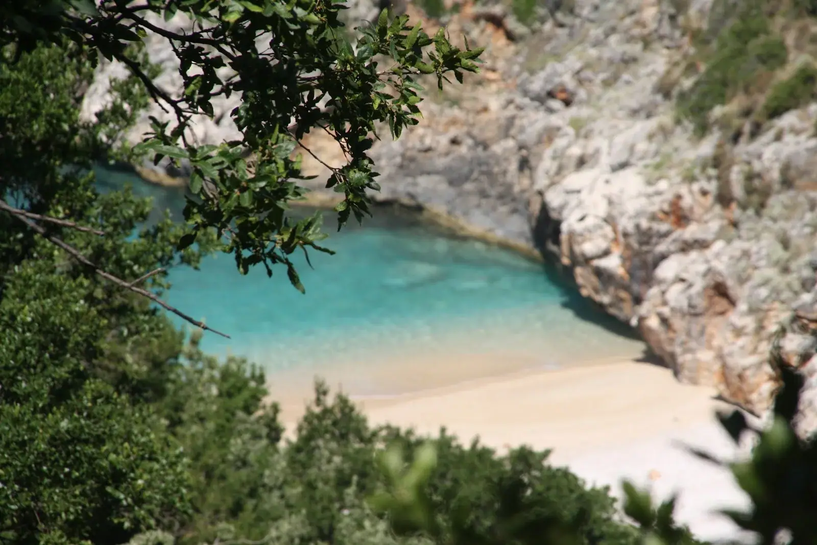 The sandy cove at Saint Andrew's Bay framed by coastal scrub