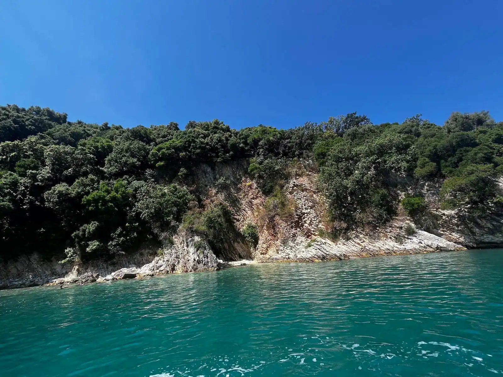 Wooded limestone shore dropping into clear turquoise water at Soldier's Bay on the coast between the Cape of Qefali and Saranda