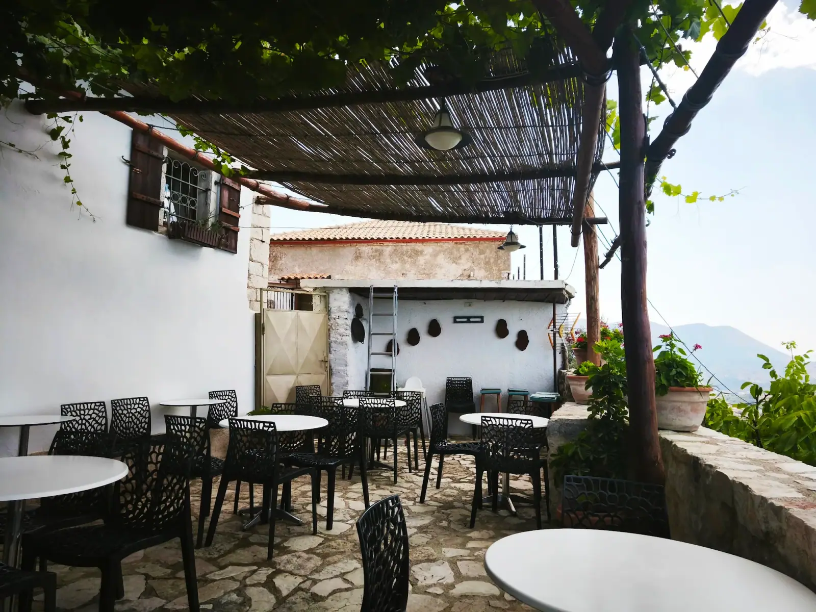 Cafe Butterfly, photo 2