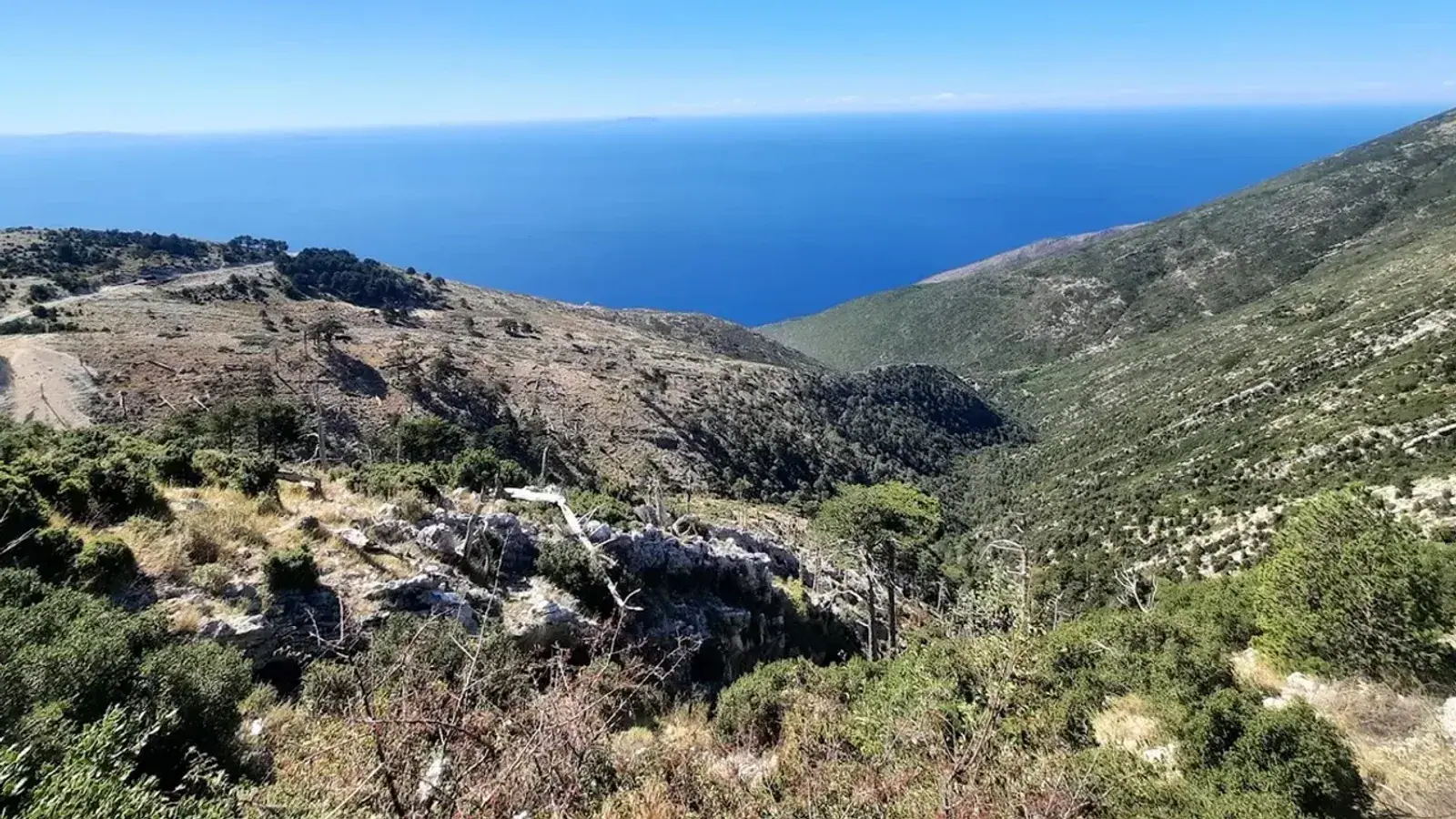 The Llogara descent above the Ionian Sea, the road every bus and car takes into the Riviera