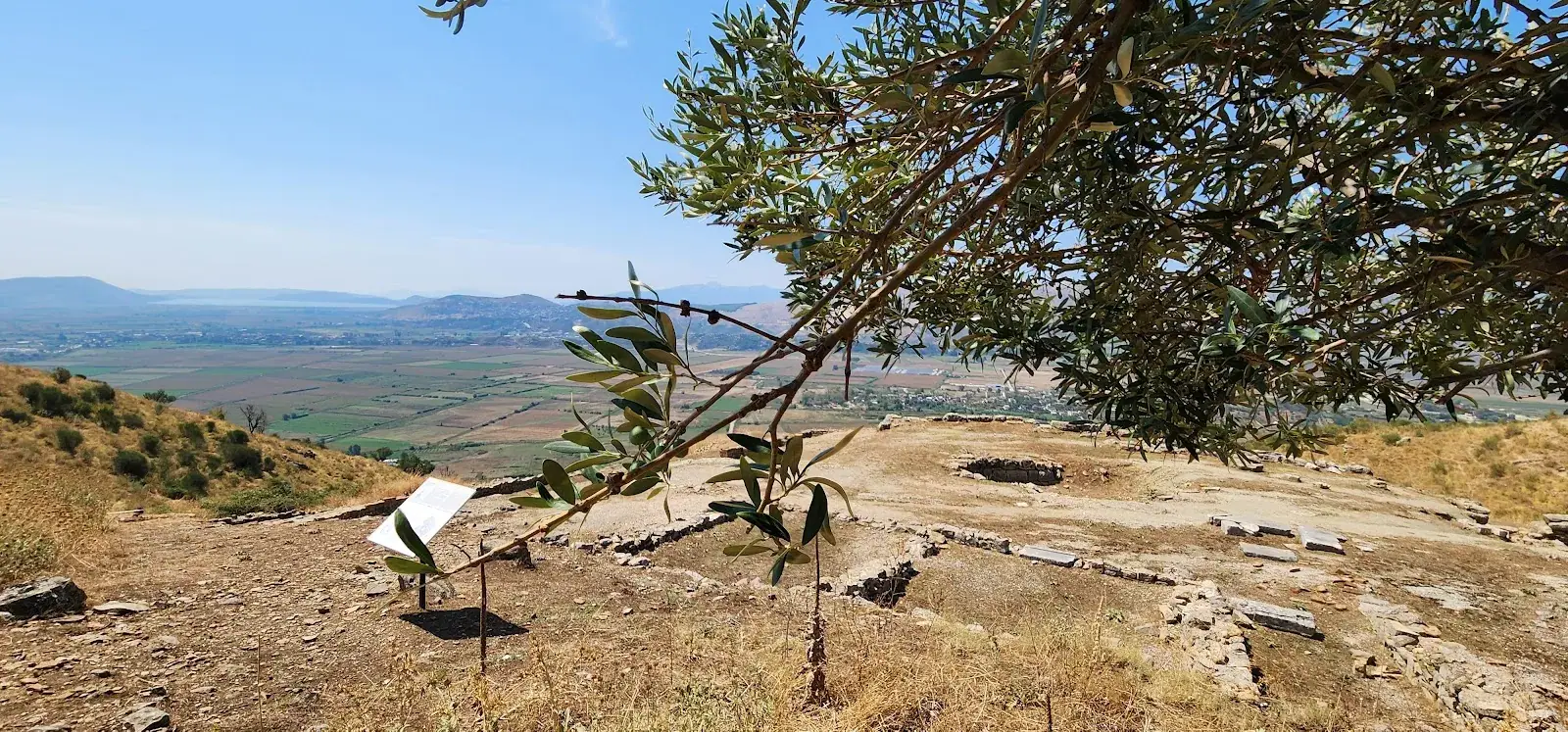 Wide plain views from the Phoenice hilltop, with an olive tree and ancient remains