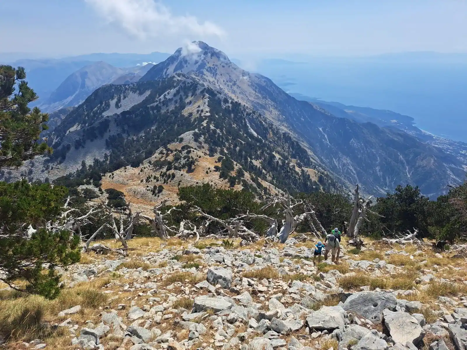 The rocky pyramid summit of Mount Çika seen along a stony ridge scattered with dead pines, with the Ionian coast far below to the right
