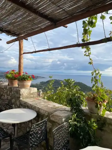 Round white tables and black openwork chairs along a mortared limestone parapet, under a roof of split cane on peeled timber poles, with terracotta pots of red geraniums on the wall and a green slope falling to a bay below