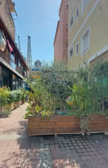 The brick-paved pedestrian street outside Himara Downtown Hostel, with timber planters of olive and yucca along it