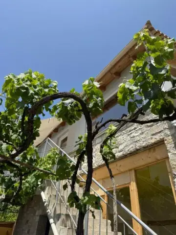 An old vine trained over the external stone staircase of Himara Hostel against a clear sky