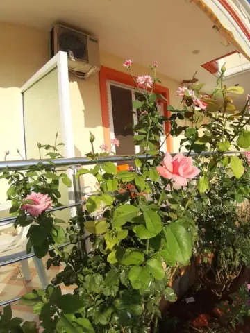 Adriana Apartments — view 4